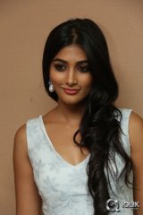 Pooja Hegde at Oka Laila Kosam Movie Song Launch